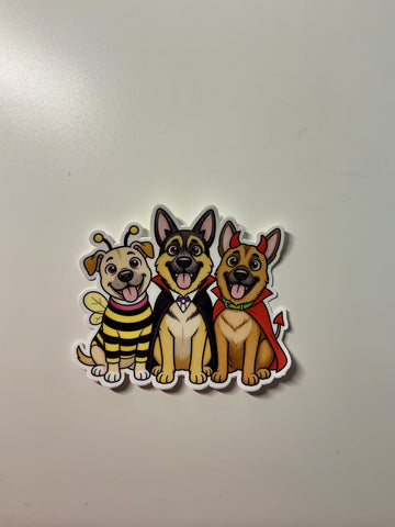 The Paw Post Monthly Subscription